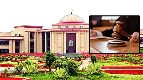 Unnatural Sex By Man With Wife Without Her Consent Not An Offence High