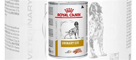 Royal Canin Urinary S/O Консервы для собак 410гр купить в Санкт ...