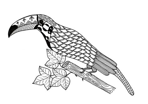 Toucan Coloring Page Printable