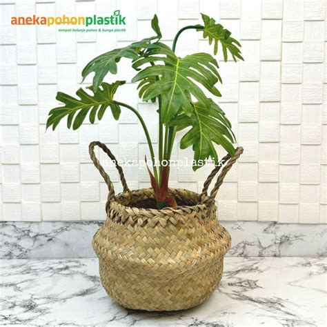 Jual Pohon Daun Jari Philo X7 Latex Artificial Pot Dasar Hitam Cover