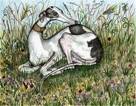 Greyhound Art Print - Etsy