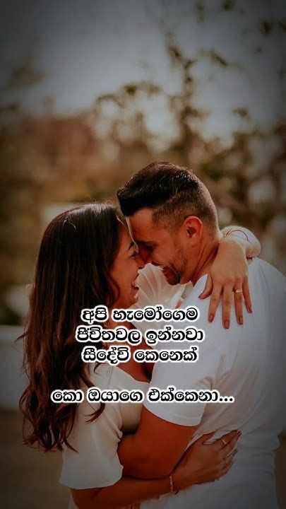 කොටාගෙන යමුද ඔයාගෙ එක්කෙනාගෙ නම ️😍 Shorts Sinhalaquotes Sinhala Wadan Sinhalasongs Youtube