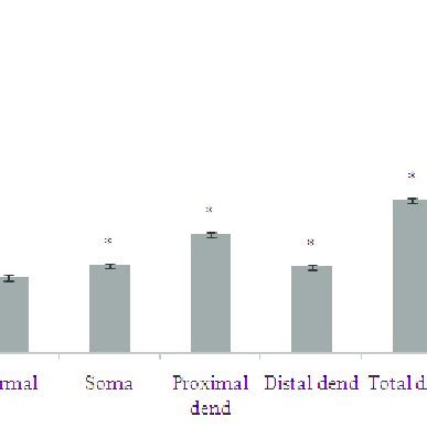 Firing Rates Of DCN With Blockade Of SK Channel In Each Compartment