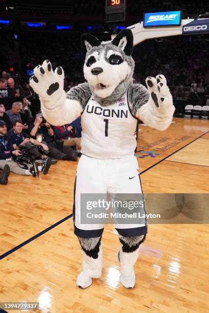 Connecticut Huskies Mascot Photos and Premium High Res Pictures - Getty ...