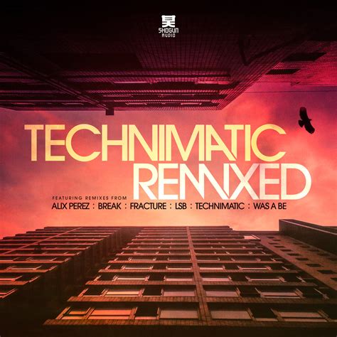 HISTORY REMIX — TECHNIMATIC