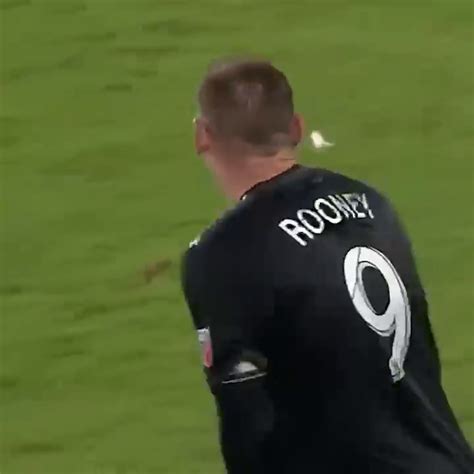 I Will The Fuck Out Of You On Twitter Wayne Rooney Is Probably My