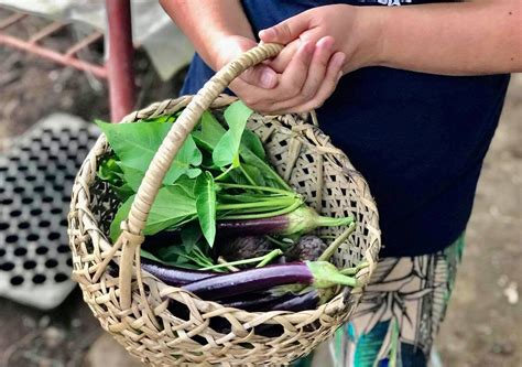 Truly Farm To Fork Davao Farm Serves Organic Food And Products In Its