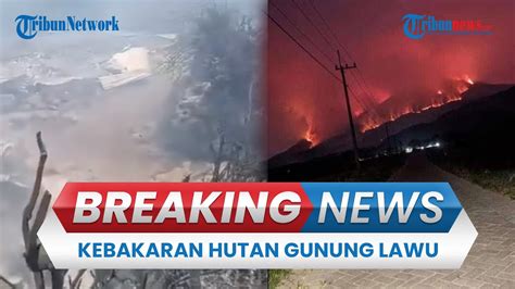 🔴breaking News Kebakaran Hutan Di Gunung Lawu Belum Padam Api Mulai