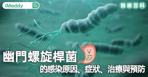 幽門螺旋桿菌的感染原因、症狀、治療與預防 醫療百科 Imeddy 線上醫療平台丨醫療科技丨視像問診丨醫療資訊 睇醫生 搵imeddy