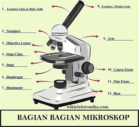 √ Gambar Bagian Bagian Mikroskop dan Fungsinya