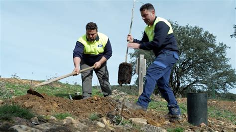 400 nuevos árboles para proteger los recursos hídricos del arroyo de