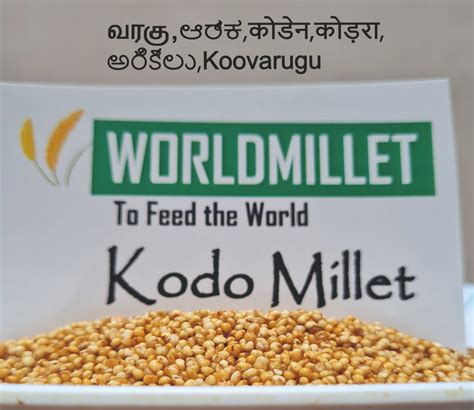 Brown Kodo Millet Varagu Rice Dehusk South Indian Grains Corporation