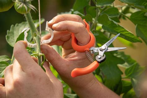 Garden Pruners For Small Hands Atelier Yuwa Ciao Jp