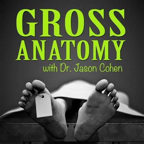 Stream episode Magician Anna DeGuzman by Gross Anatomy Podcast podcast ...