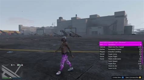 PC COMPTE LOBBY GTA V Argents Niveaux aux choix Déblocage Tenue