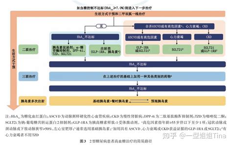 糖尿病的非胰岛素药物总结 知乎