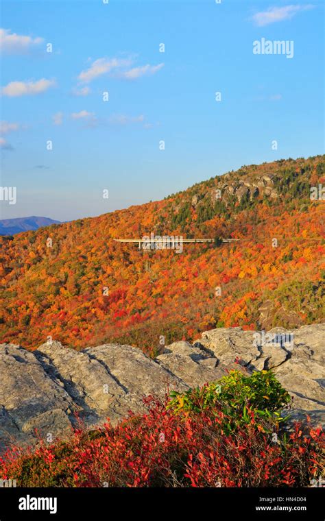 Linn Cove Viaduct Seen From Rough Ridge Tanawha Trail Blue Ridge