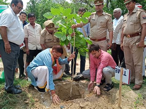 बलदेव में वन महोत्सव के तहत वन विभाग ने किया आयोजन विधायक पूरन प्रकाश