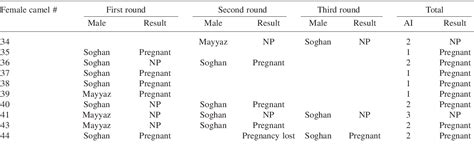 Table 1 From Artificial Insemination In Dromedary Camels Camelus