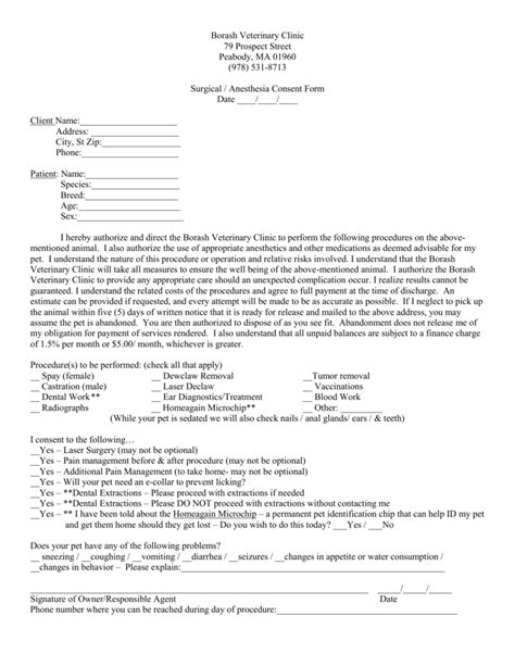 Printable Vet Consent Form