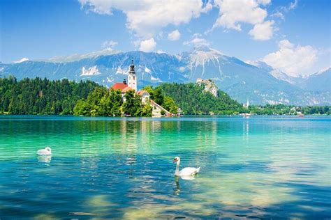 Full Day Postojna Cave And Bled Lake Tour From Ljubljana