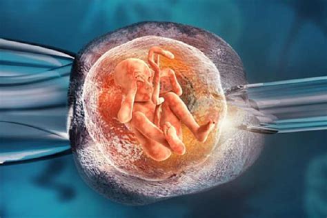 In Vitro Fertilisation Ivf Govt Must Make Infertility A Health