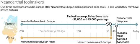 Neanderthal Timeline