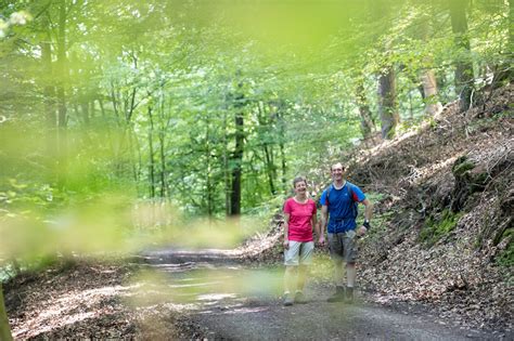 Wanderweg Im Wiehengebirge A L Bbecke Wanderung Outdooractive