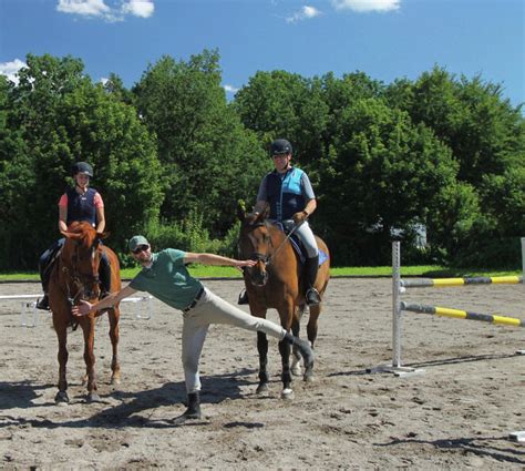 Beritt Und Unterricht Willkommen Auf Der Reitsportanlage Hohenbrunn