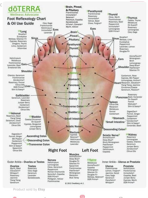 Printable High Resolution Foot Reflexology Chart