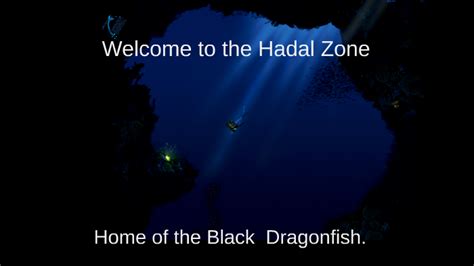 Welcome to the Hadal Zone by Bigotes Bigotes on Prezi