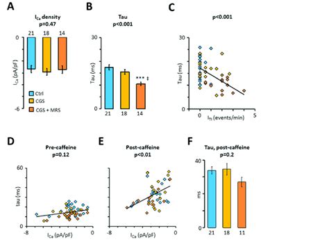 Impact Of The Crosstalk Between A R And A A R On L Type Calcium