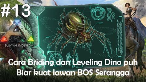 Cara Briding Leveling Dino Donk Puh Biar Kuat Lawan BOS Lysrix Ark