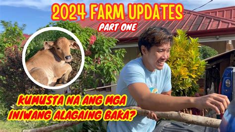 KUMUSTA NA ANG MGA INIWANG ALAGAING BAKA FARM UPDATES 2024 PART 1