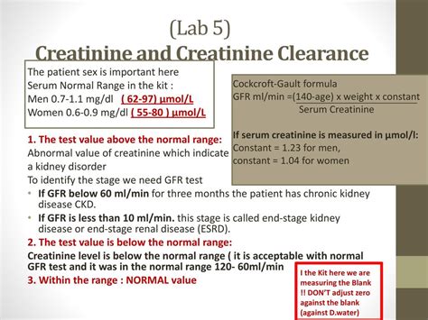 Bun Low Creatinine Normal BUN Creatinine Ratio High Low Levels