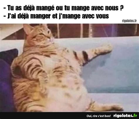 Tu As D J Mang Ou Tu Blagues Et Les Meilleures Images Dr Les