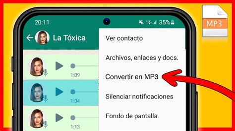 Cómo pasar un audio de WhatsApp a una memoria USB