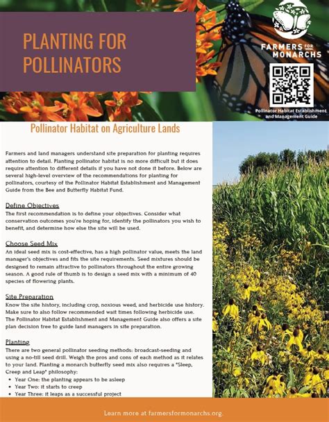 Planting For Pollinators Farmers For Monarchs