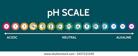 Ph Value Scale Chart Acid-alkaline Solution Stock Vector (Royalty Free ...