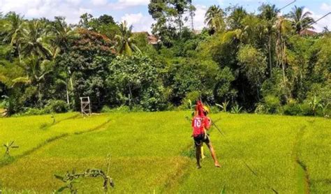 Kampung Ciwaluh Wisata Alam Di Bogor Untuk Habiskan Waktu Akhir Pekan