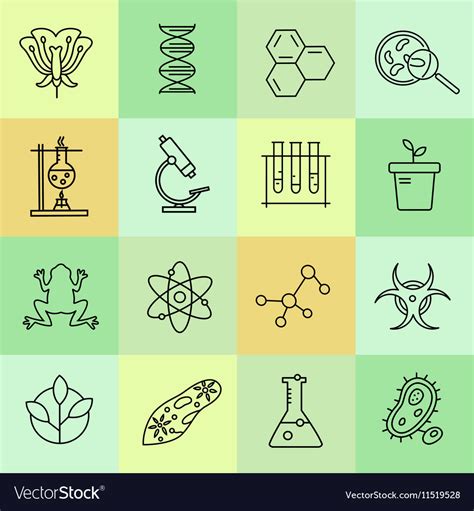 Set of modern linear icons with biology elements Vector Image