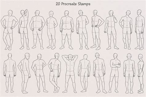 Procreate Male Body Poses Stamps Images Behance