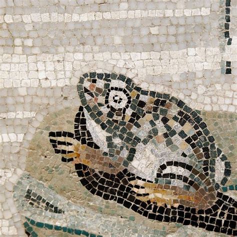 17 Best images about Pompeii Mosaics on Pinterest | Mosaic floors ...