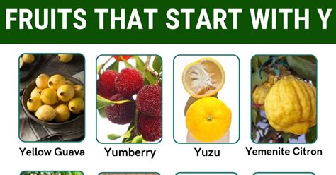 Yummy Fruits That Start With Y Esl Off Rbk Bm