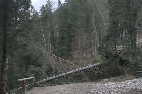 Silny wiatr w Tatrach Drzewa łamią się na szlaki FILM Gazeta Krakowska