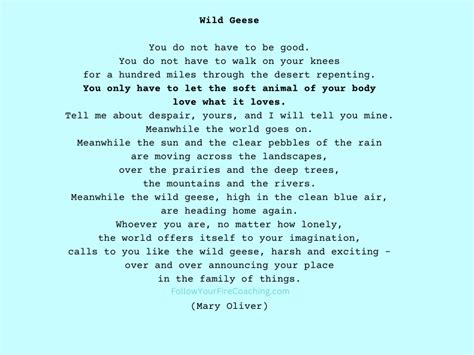 Mary Oliver Poem Wild And Precious Life Outlet