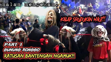 Ratusan BANTENGAN Lereng Semeru Kalap Demit Jenon Di Kepung Puluhan