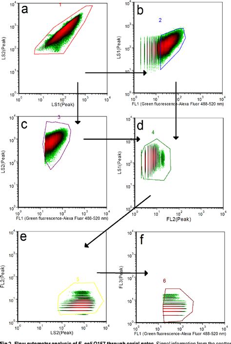 Figure 1 From Development Of A Flow Cytometry Based Method For Rapid