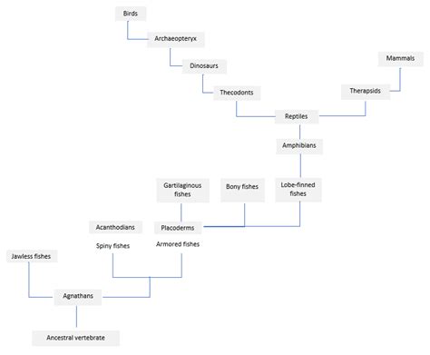 Construct A Concept Map That Shows The Relationships Among T Quizlet