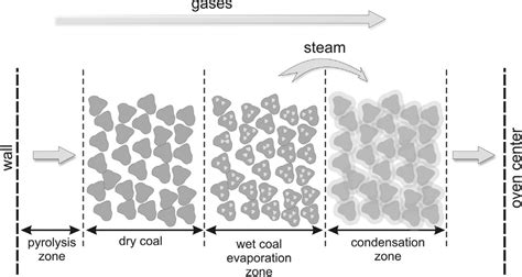 Schematic Illustration Of Moisture Transport In A Coal Charge